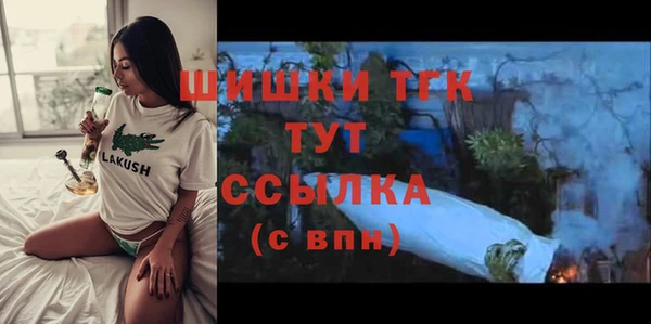 гашик Алексеевка