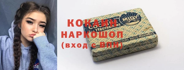 стаф Аркадак