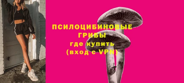 PSILOCYBIN Козельск