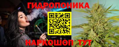 шишки Конаково