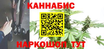 шишки Конаково