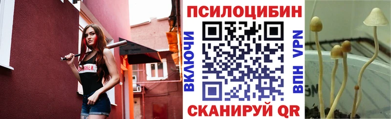хочу   это клад  Галлюциногенные грибы Psilocybe  Кубинка 